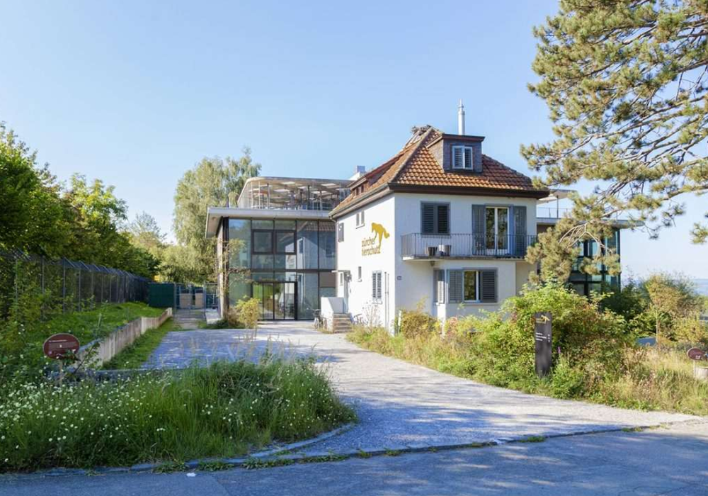 Tierschutz Zürich